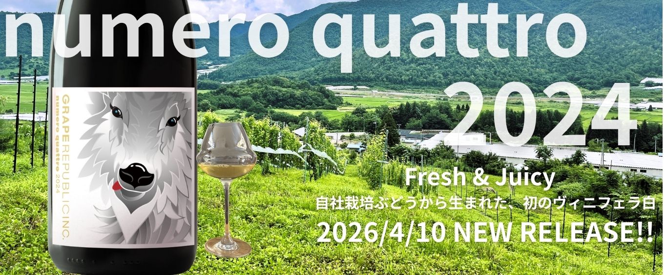 2026.0409 numero quattro 2024.jpg