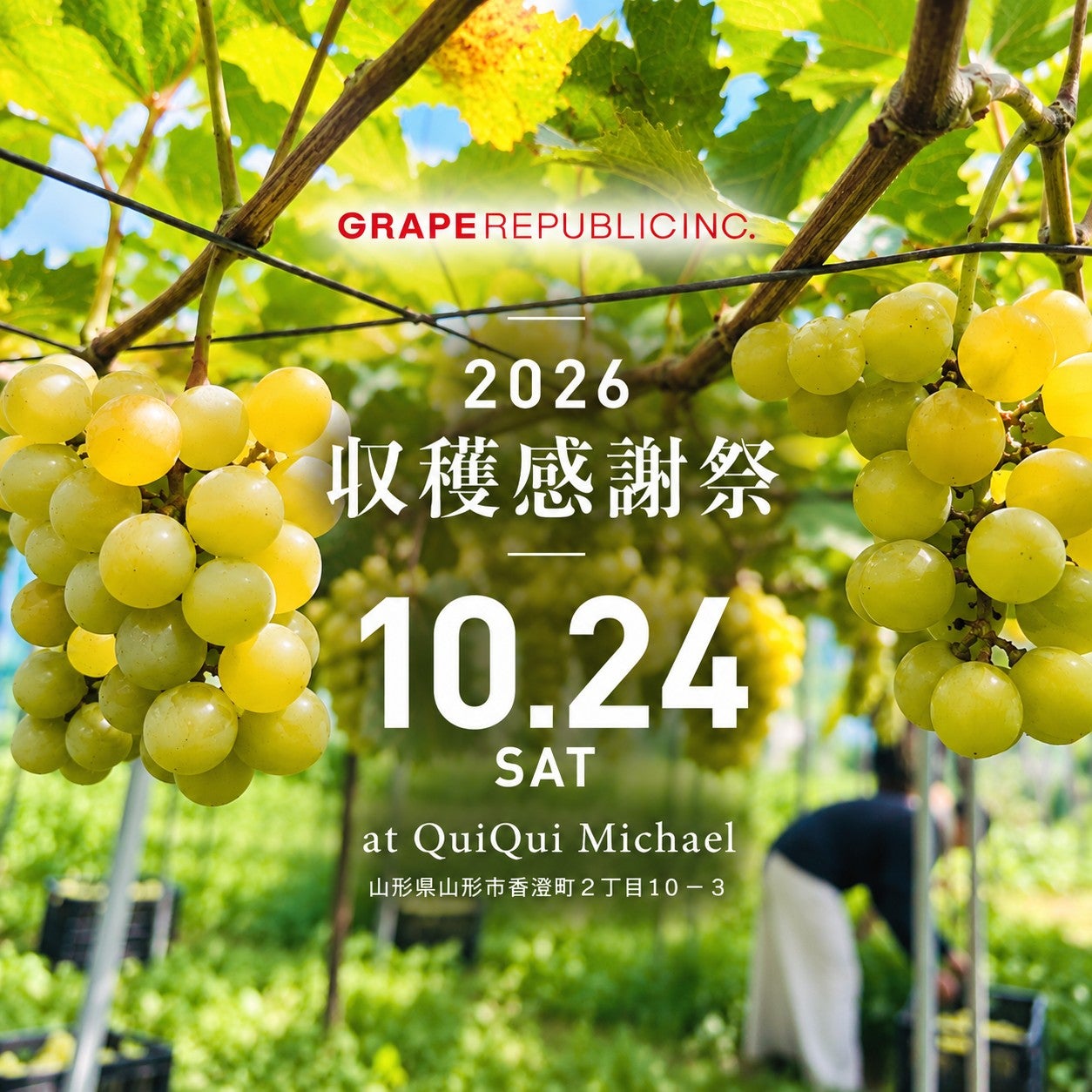 商品一覧 | GRAPEREPUBLIC